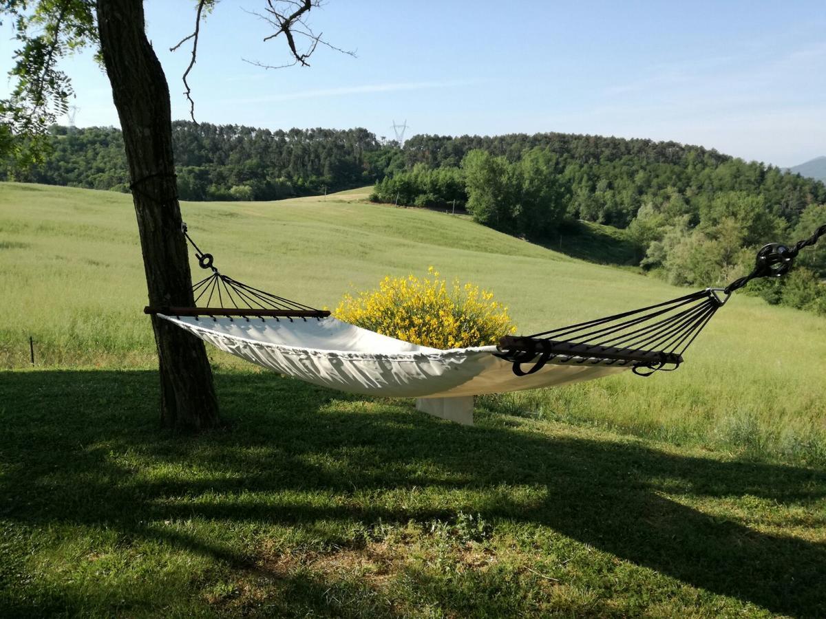 Il Vignolino Pension Barberino di Mugello Buitenkant foto